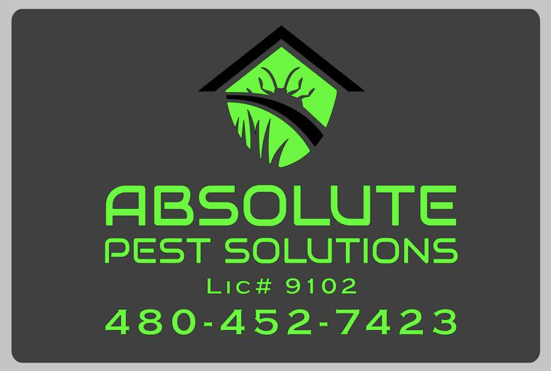 Absolute Pest Solutions Ahwatukee