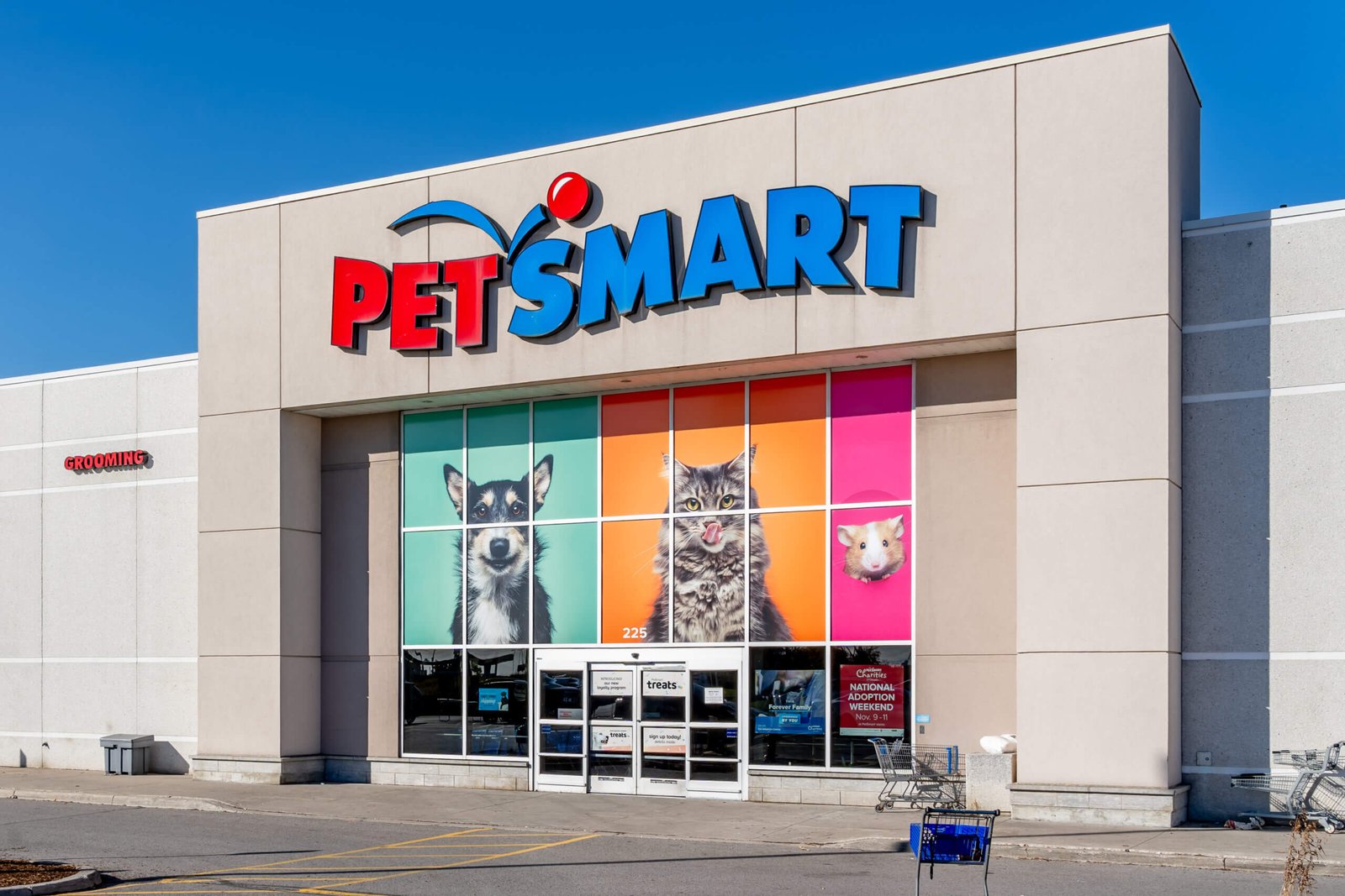 PETSMART Ahwatukee