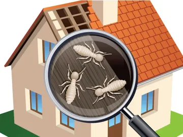 Wolfpack Pest Co – Ahwatukee